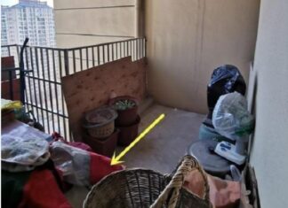 “4 Things You Should Never Place on Your Balcony: A Superstition That Could Save You From Misfortune”