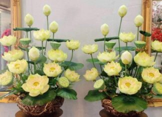 The Do’s and Don’ts of Incense Offering: Why You Should Opt for These Flowers Instead of Chrysanthemums to Attract Luck and Fortune