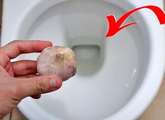 The Magical Power of Garlic: Unlocking the Secrets of Overnight Toilet Bowl Transformation