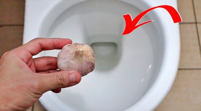 The Magical Power of Garlic: Unlocking the Secrets of Overnight Toilet Bowl Transformation