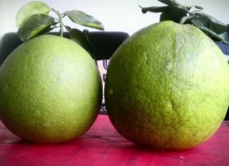 The 5 Fruits That Attract Wealth and Peace: A Guide to Traditional Offerings