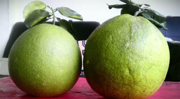 The 5 Fruits That Attract Wealth and Peace: A Guide to Traditional Offerings