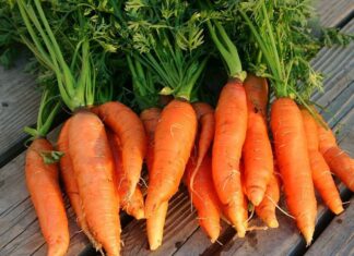 The Ultimate Guide to 5 Healthy Orange Foods: A Shopper’s Delight