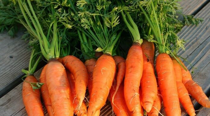 The Ultimate Guide to 5 Healthy Orange Foods: A Shopper’s Delight