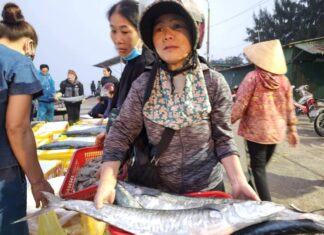 The Sweet Meat Fish: A Bone-less, Omega-3 Rich Alternative to Salmon, at a Fraction of the Cost.