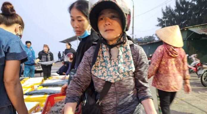 The Sweet Meat Fish: A Bone-less, Omega-3 Rich Alternative to Salmon, at a Fraction of the Cost.