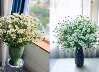 The Secret to Long-Lasting, Beautiful Baby’s Breath Bouquets