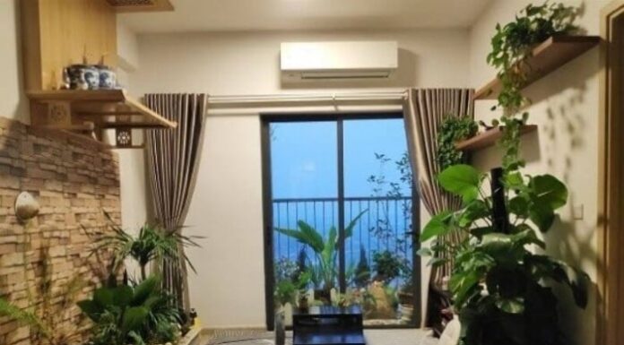 “The Secret to Attracting Wealth: Nurturing the Three Keys to Prosperity”