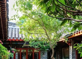 The Green Thumb’s Guide to Prosperity: Four Plants for a Lifetime of Wealth and Fortune.