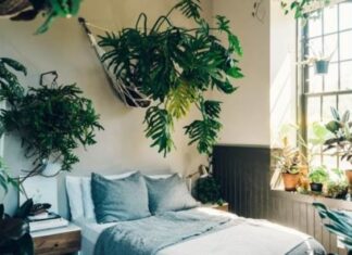 Place These 3 Items in Your Bedroom for a Health Boost