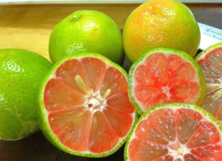 5 Ways to Maximize the Benefits of Pink Lemons in Your Daily Life