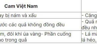 The Ultimate Guide to Buying Oranges: A Quick and Easy Way to Spot the Difference Between Vietnamese and Chinese Oranges