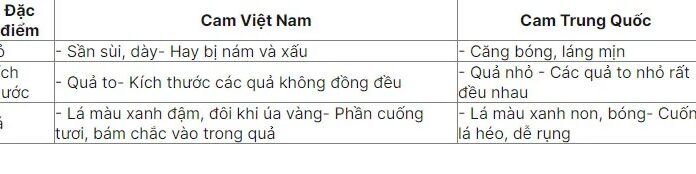 The Ultimate Guide to Buying Oranges: A Quick and Easy Way to Spot the Difference Between Vietnamese and Chinese Oranges