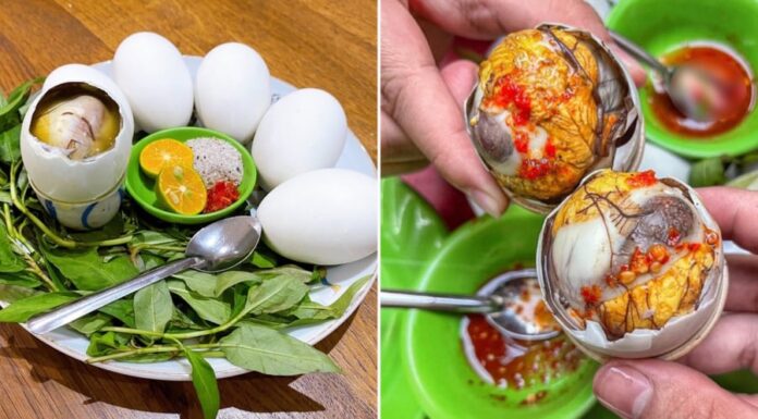The Ultimate Guide to Picking the Perfect Balut: A Tale of Old and Young Eggs