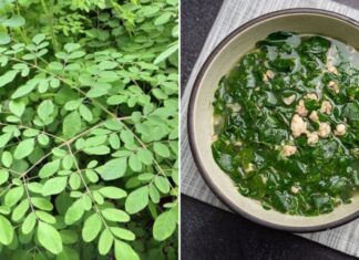 The Ultimate Superfood: Unlocking the Power of ‘Poor Man’s Ginseng’