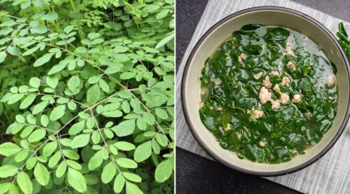 The Ultimate Superfood: Unlocking the Power of ‘Poor Man’s Ginseng’