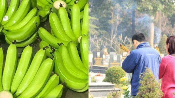 The Ancestors’ Warning: Steer Clear of Bringing Bananas to Year-End Grave Visits.