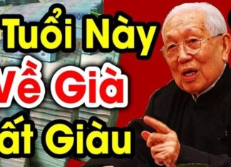 The Golden Years: 4 Chinese Zodiac Signs Blessed with Late-Blooming Wealth, Toiling in Youth and Reaping the Rewards in Old Age