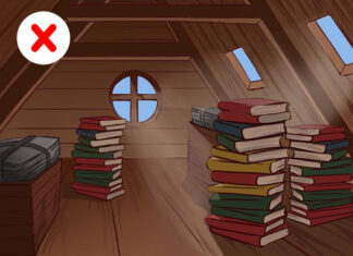 8 Pest Control Blunders That Are Inviting Insects Into Your Home