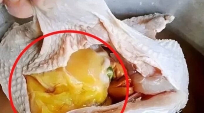 The Ultimate Guide to Chicken Fat: A Delicacy Worth Saving