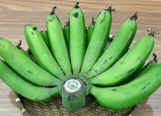 The Altar’s Fruitful Warning: A Single Banana Bunch is Prosperity, a Pair Brings Calamity.