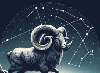 The Celestial Four: Captivating Personalities that Inspire Admiration