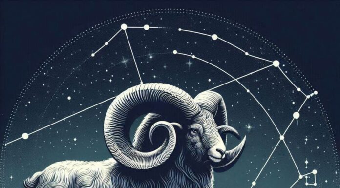 The Celestial Four: Captivating Personalities that Inspire Admiration