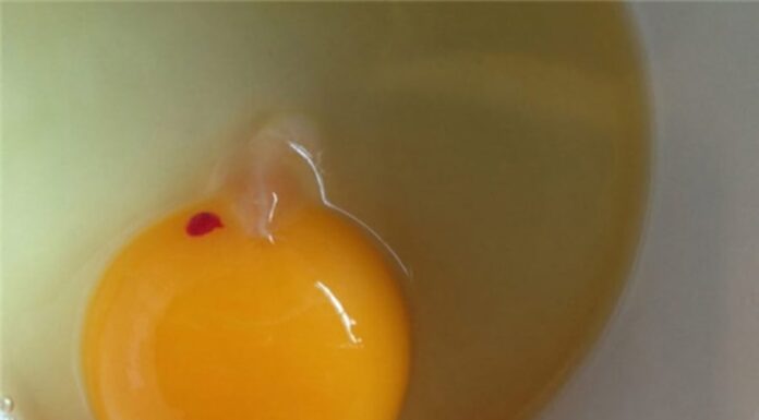Is It Safe to Eat an Egg With a Red or White Streak When Cracked Open?
