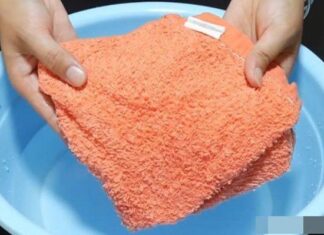 The Secret to Staying Cool: Unveiling the Genius Behind an Unusual Practice