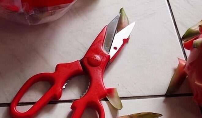 The Scissors’ Superstition: 3 Places to Never Keep Them in Your Home for Good Luck.