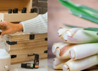 The Magic of Lemongrass: A Simple Household Tip You Need to Know