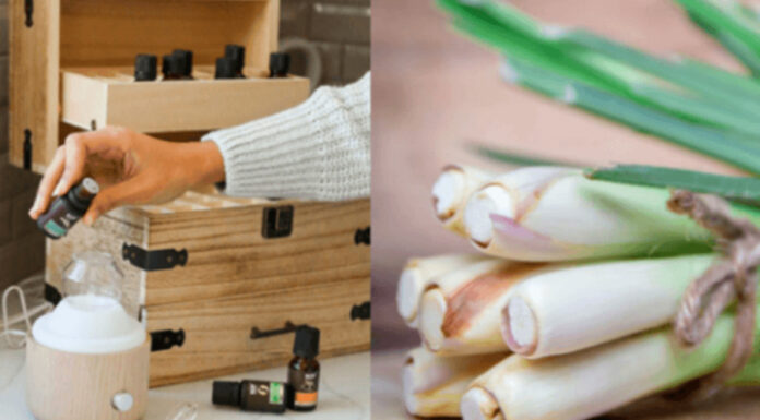 The Magic of Lemongrass: A Simple Household Tip You Need to Know