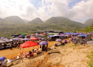 The Dawn of a Unique Buffalo Market in Lao Cai: A Pitch-Black Herd at Dawn