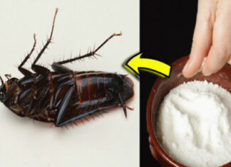 The Ultimate Hack: Why Mixing Leftover Rice with Soap is a Game-changer for Your Home