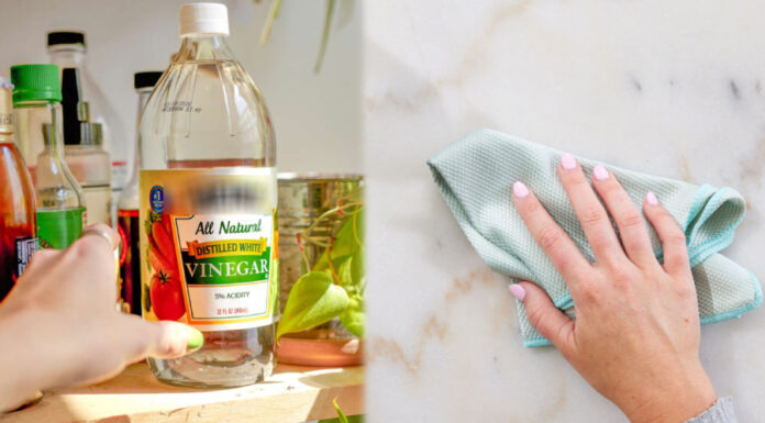 The Magic Liquid: 7 Things You Should Never Clean with Vinegar