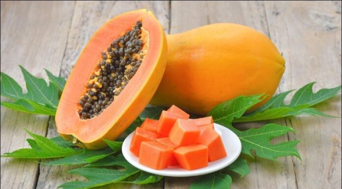 6 Orange Foods for a Healthy Diet: A Shopper’s Guide to Nature’s Golden Treats