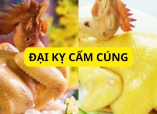 The Spiritual Chicken: A Guide to Choosing the Right Offering for Ancestral Worship