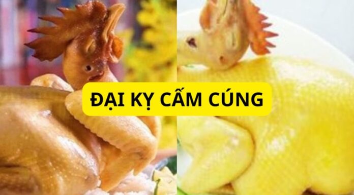 The Spiritual Chicken: A Guide to Choosing the Right Offering for Ancestral Worship