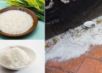 The Power of Rituals: Uncovering the True Meaning of Post-Worship Rice and Salt Sprinkling and Its Impact on Luck and Fortune