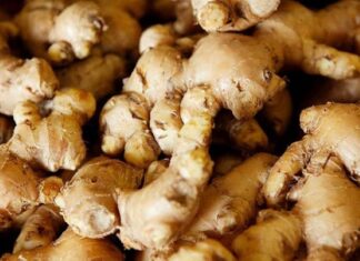 The Ultimate Organic Pest Repellent: Drench Your Plants and Forget About Bugs for Days.