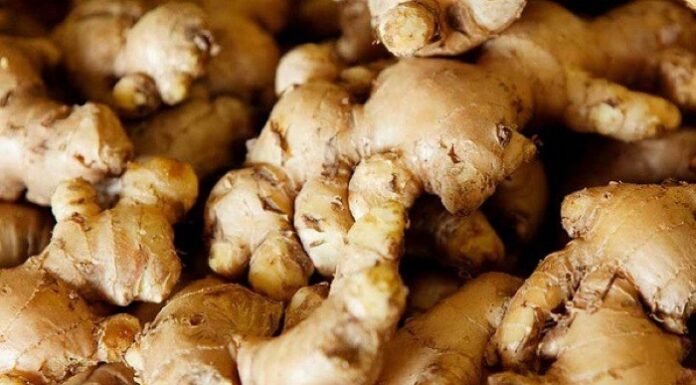 The Ultimate Organic Pest Repellent: Drench Your Plants and Forget About Bugs for Days.