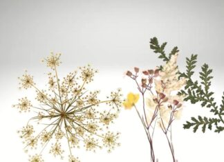 The Ancestors Were Right: The Less of These 3 Things You Have, the Richer You’ll Be.