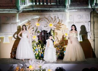 “Leading Ladies of Vietnam’s Silver Screen: A Night of Glamour and Grace”