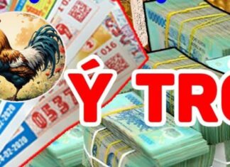 The Fated Years (2024 – 2028): Born With a Golden Spoon, Love and Wealth in Abundance