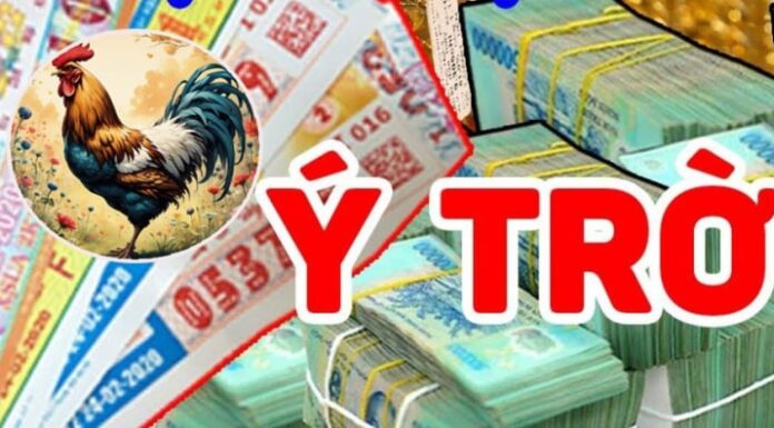 The Fated Years (2024 – 2028): Born With a Golden Spoon, Love and Wealth in Abundance