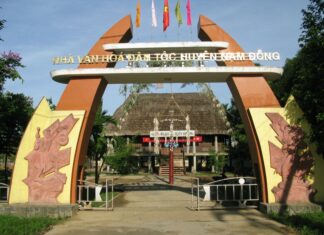 The Mountainous Marketplace in the Heart of Hue: A Treasure Trove of Forest Delicacies