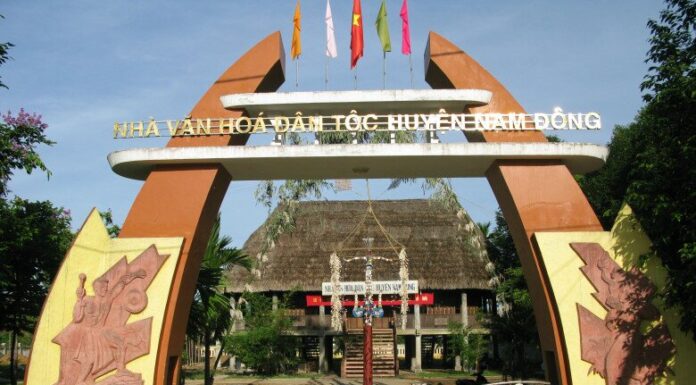 The Mountainous Marketplace in the Heart of Hue: A Treasure Trove of Forest Delicacies