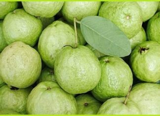 The Ultimate Guide to Buying the Perfect Guava: A Tale of Two Textures
