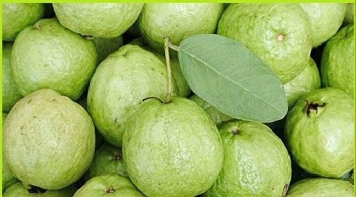 The Ultimate Guide to Buying the Perfect Guava: A Tale of Two Textures