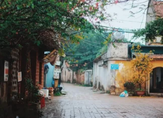 The Ancient Hanoi Villages in Early Winter: A Serene, Fairy Tale-like Beauty with a 500-Year-Old History